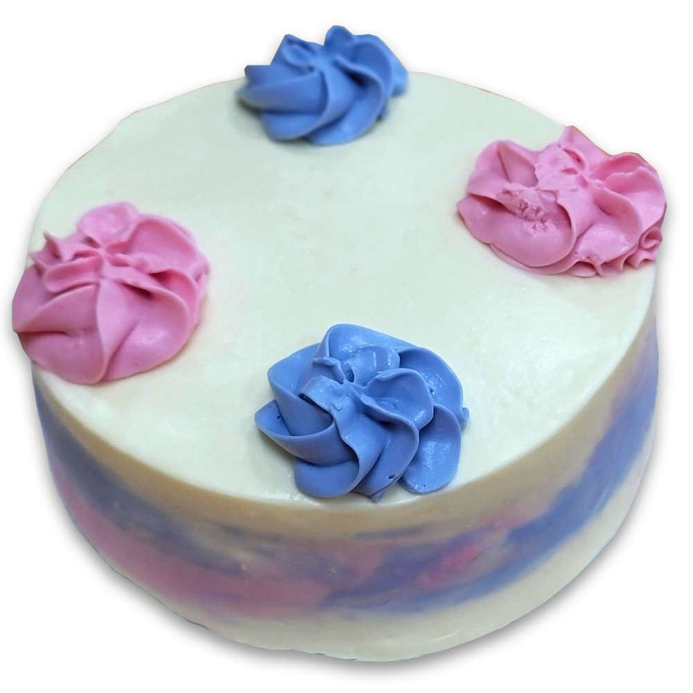 three-dog-bakery-gender-reveal-cakes-for-dogs-perrysburg-ohio Three Dog Bakery - Gender Reveal Cakes for Dogs