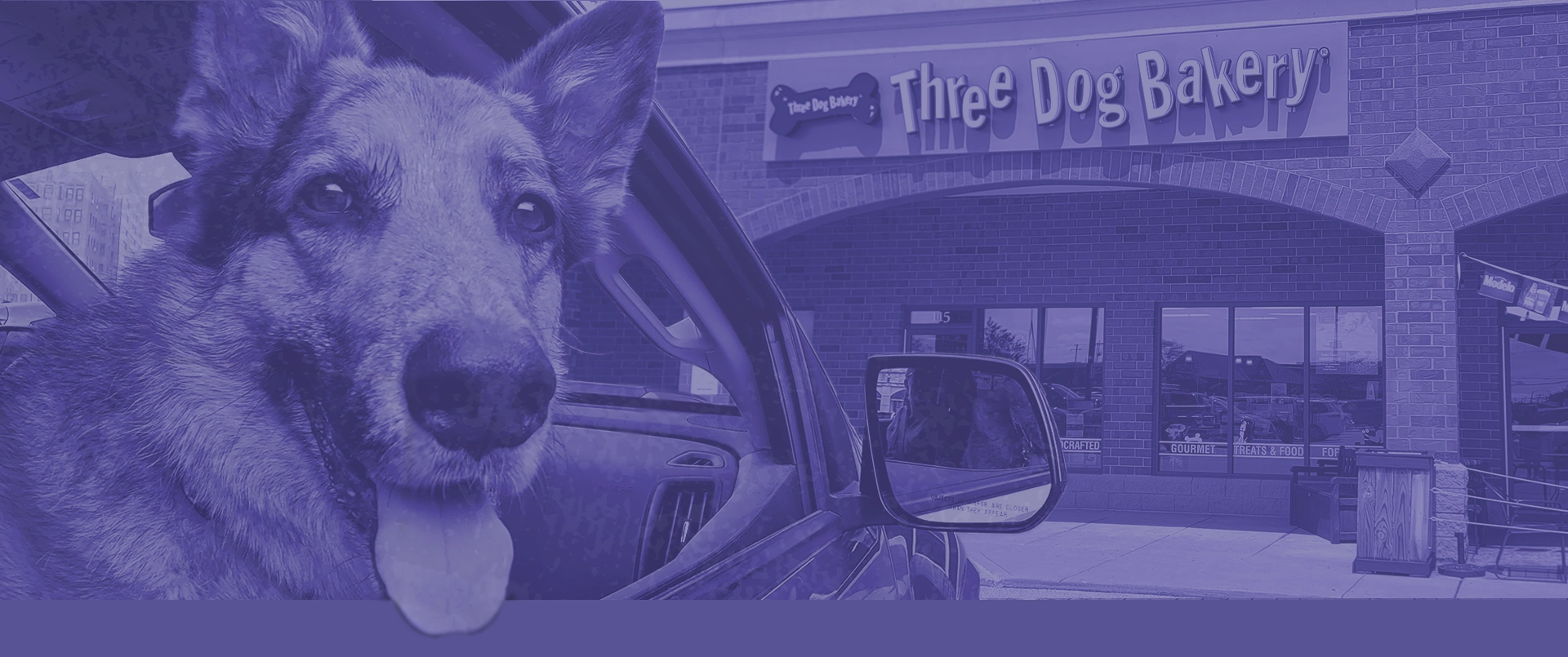 visit-perrysburg-oh-three-dog-bakery-get-directions Perrysburg Toledo Ohio Three Dog Bakery - Fresh Baked Treats for Dogs